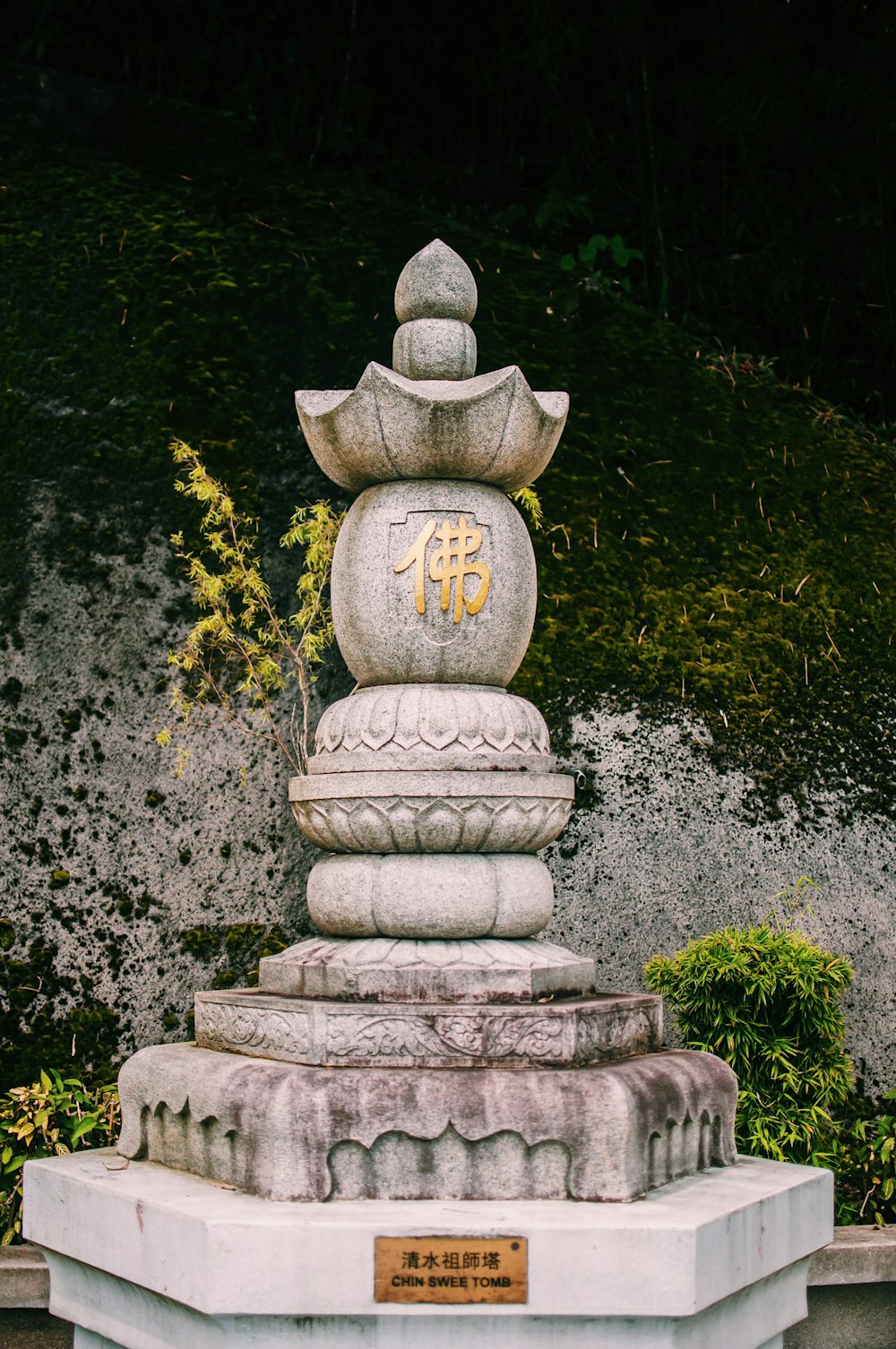 selective focus photography of gray concrete fountain during daytime