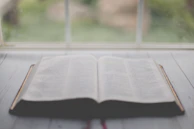A close-up of an open Bible with gentle greenery in the background, evoking calm and hope.