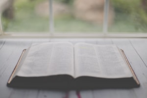 Devocional Diário