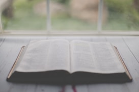 An open book lies on a wooden surface near a window. The pages of the book appear to be text-rich, suggesting it might be a Bible. The background shows soft, blurred greenery through the window, creating a calm, serene atmosphere.