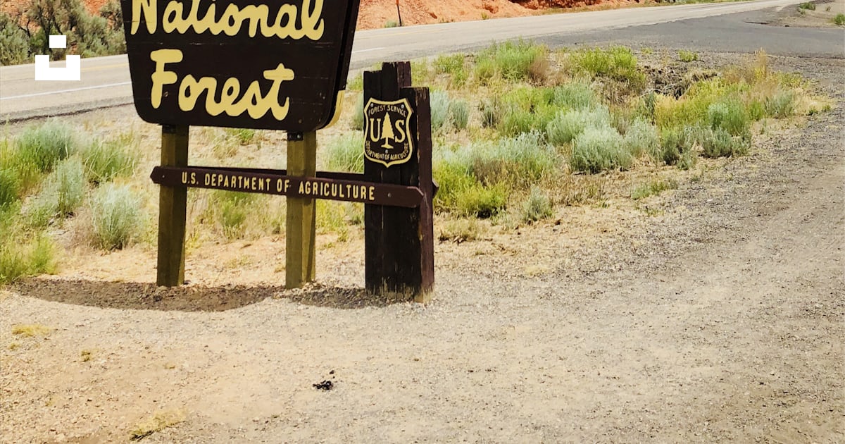 Panneau de la forêt nationale de Dixie près de la route photo Photo