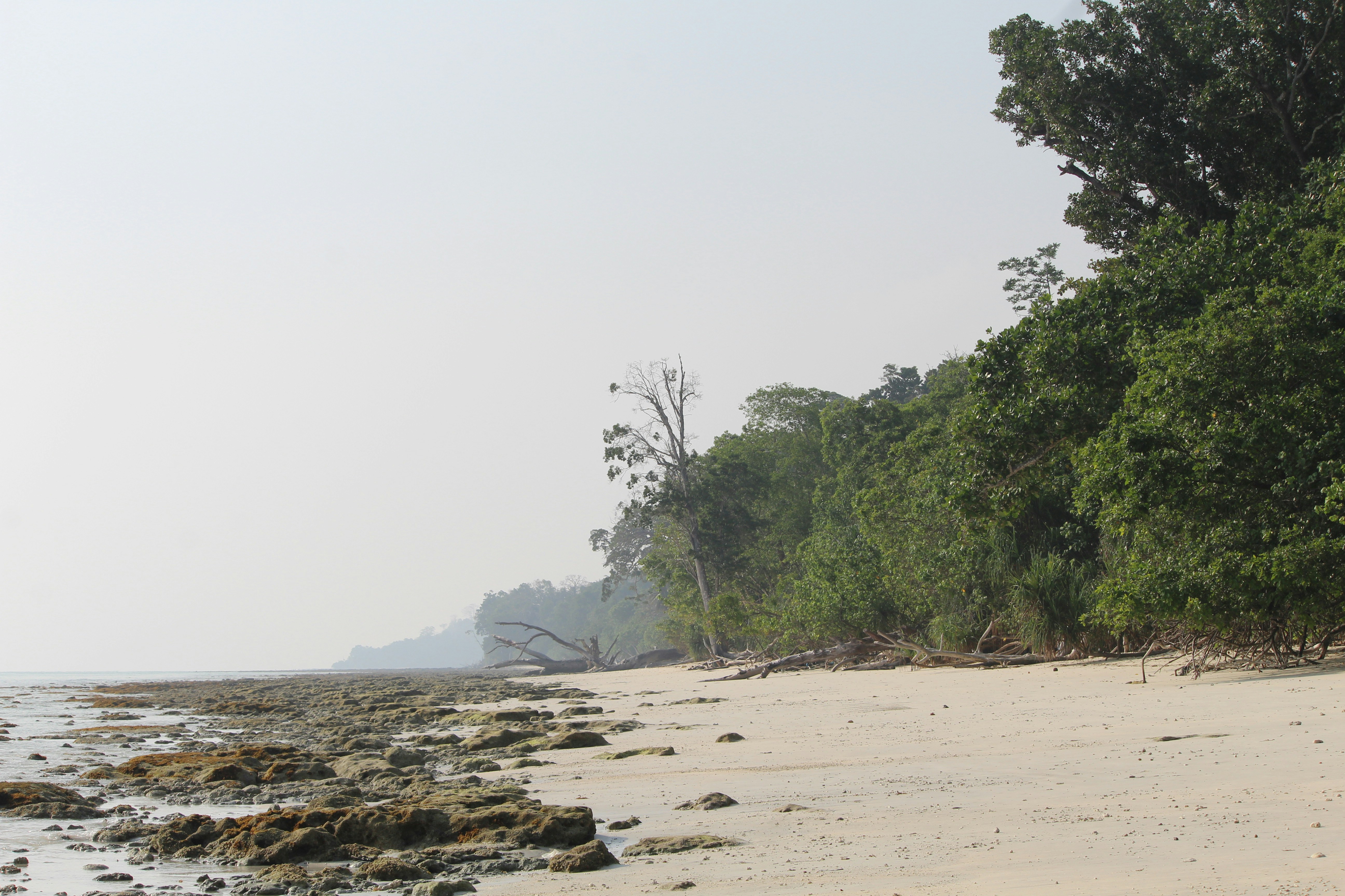 Photo by aravind_7295