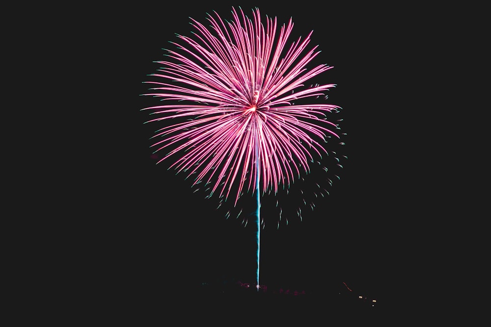 close-up of pink fireworks