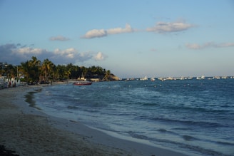 A tranquil beach scene with crystal-clear waves gently lapping against the shore lined with palm trees and colorful fishing boats.