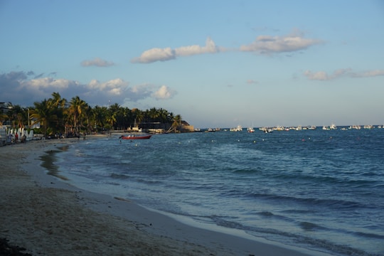 A tranquil beach scene with crystal-clear waves gently lapping against the shore lined with palm trees and colorful fishing boats.