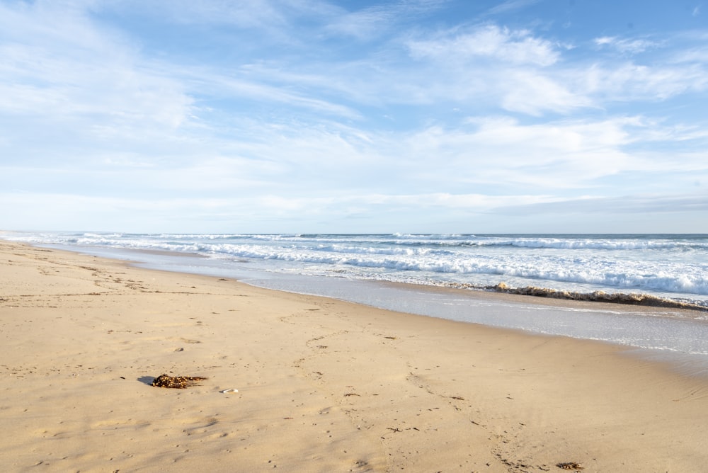 Primer plano de la costa cerca del cuerpo de agua