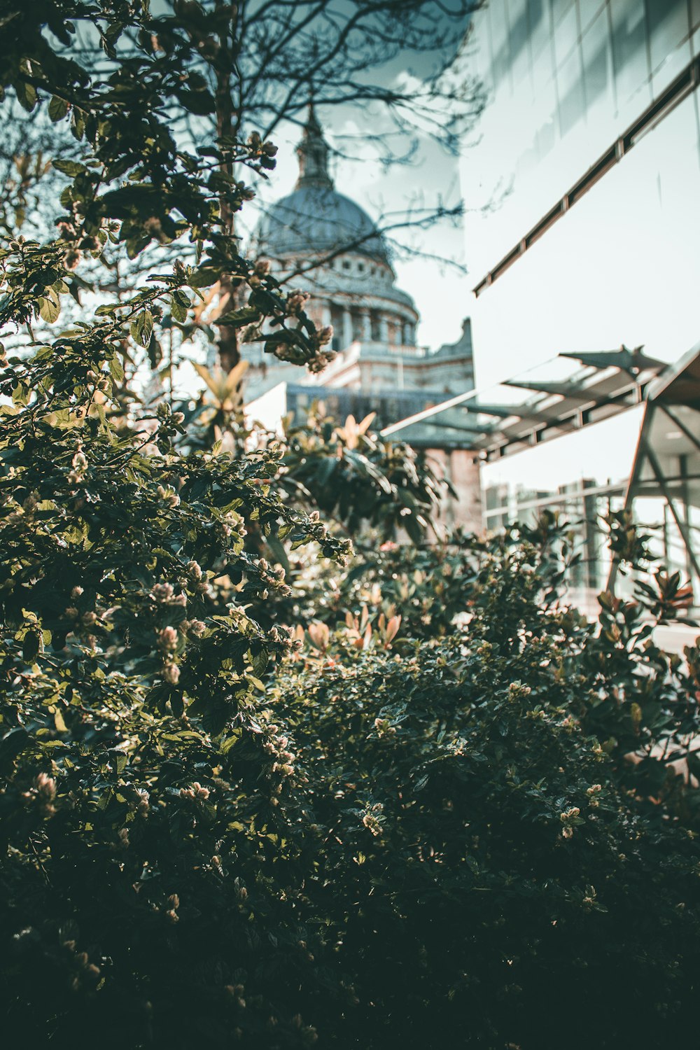 white dome building during daytime