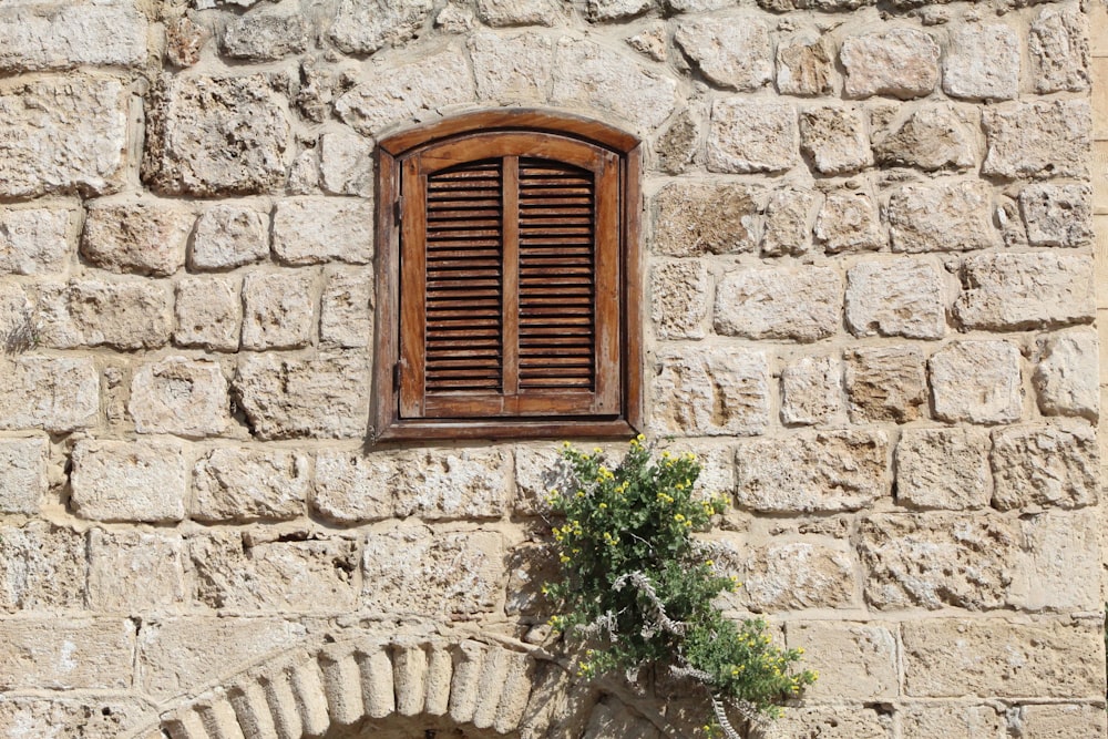 closed brown wooden louvered window panel