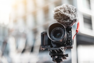 black Dslr camera