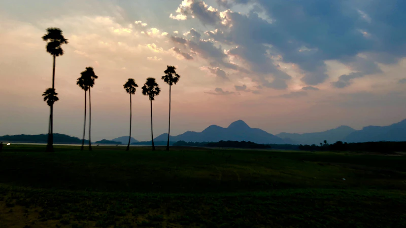 Best Vegetarian and Vegan Places in Palakkad Worth Visiting