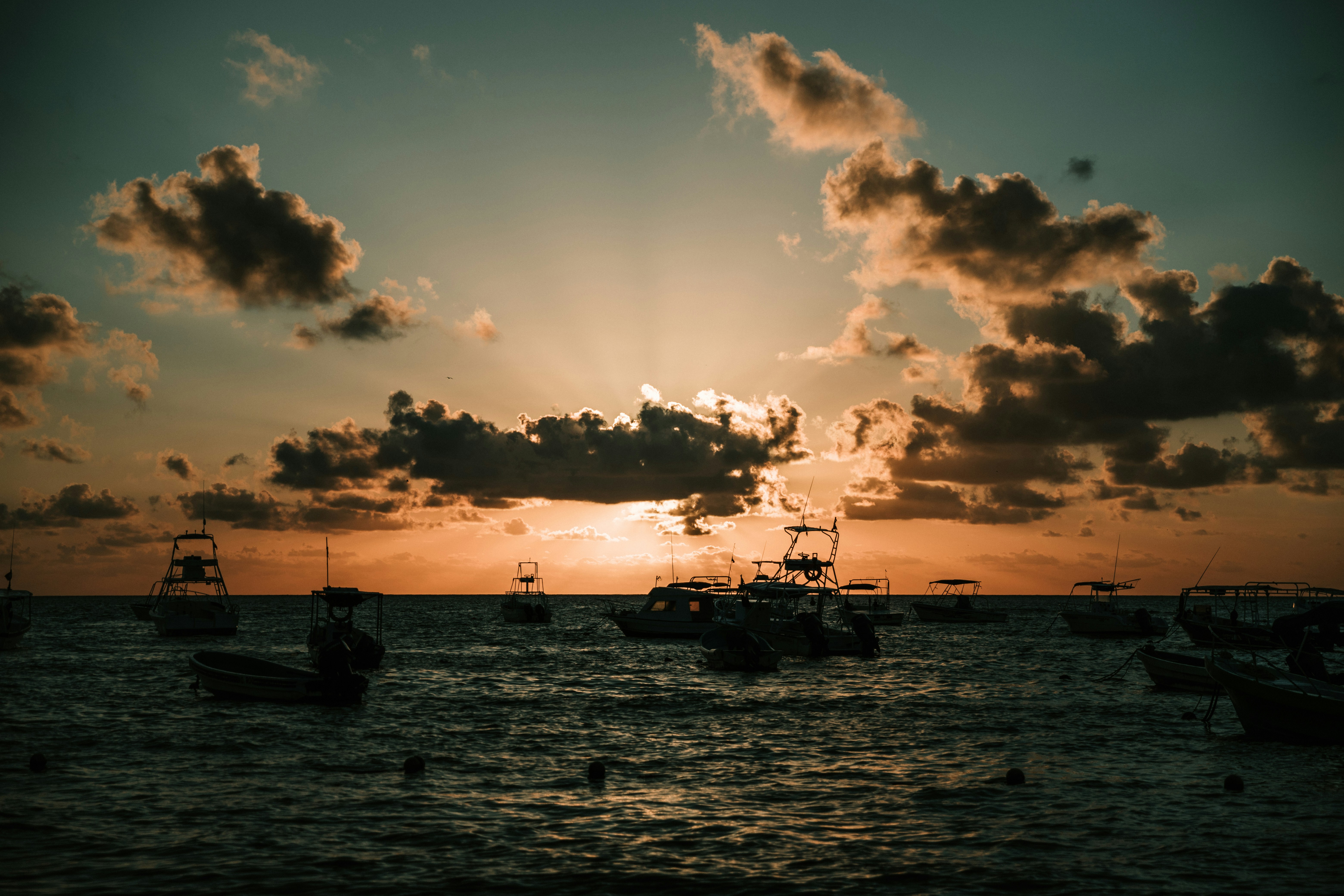 Photo by ymoran