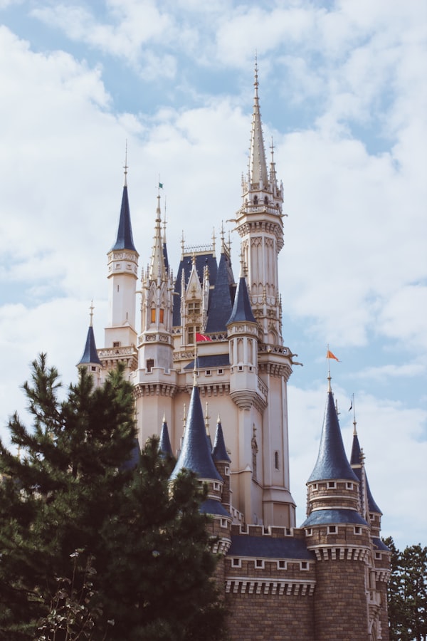 Tokyo Disneyland castle