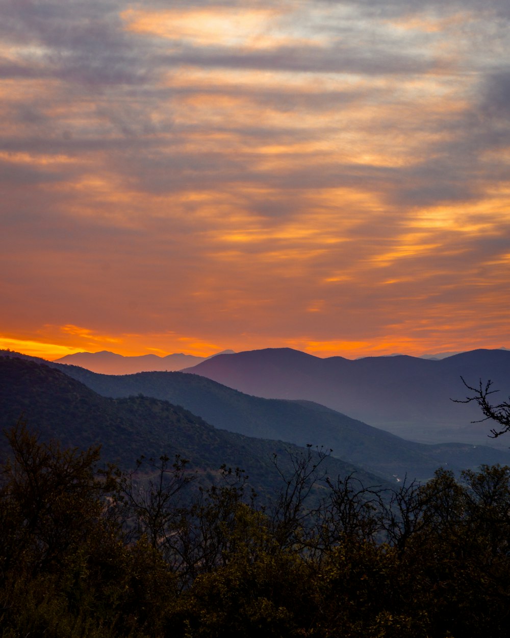 landscape photography of trees and mountains