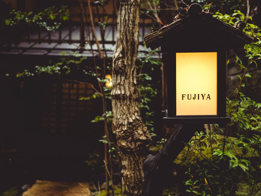 fujiya lamp on tree