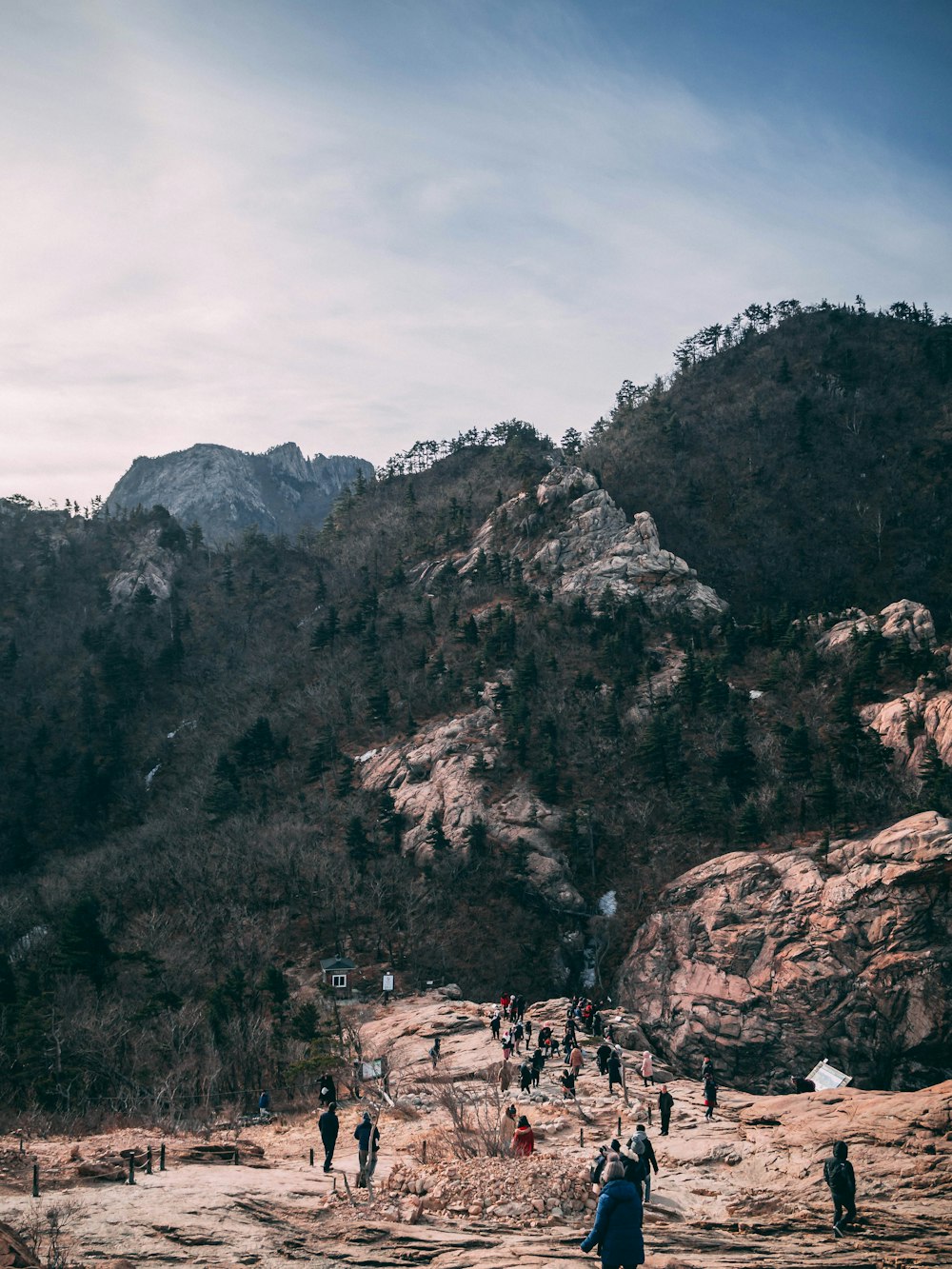 people near mountain during daytime