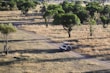 A scenic safari landscape with a 4x4 vehicle in the foreground.