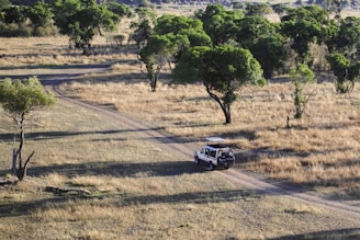 A rugged vehicle is driving on a dirt path through an open savanna with scattered trees. The scene captures the essence of a safari, with dry grasslands and patches of greenery under a clear sky.