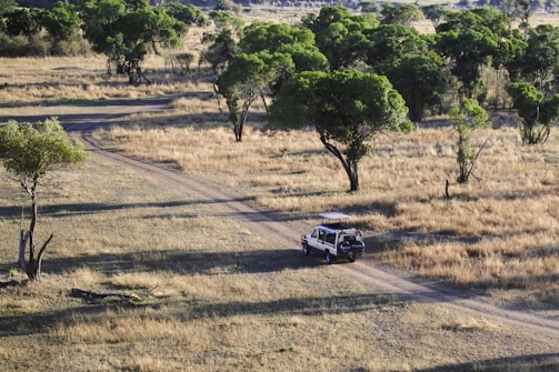 A friendly local guide helping a traveler with a 4x4 vehicle in a scenic northern Madagascar landscape.