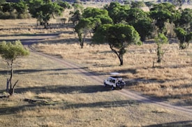A rugged vehicle is driving on a dirt path through an open savanna with scattered trees. The scene captures the essence of a safari, with dry grasslands and patches of greenery under a clear sky.