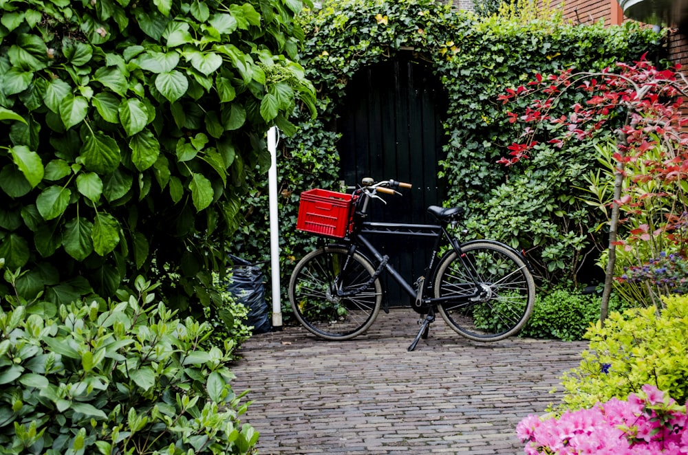 black bicycle near green leaf plant