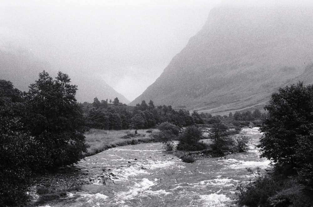 grayscale photography of river surrounded by trees