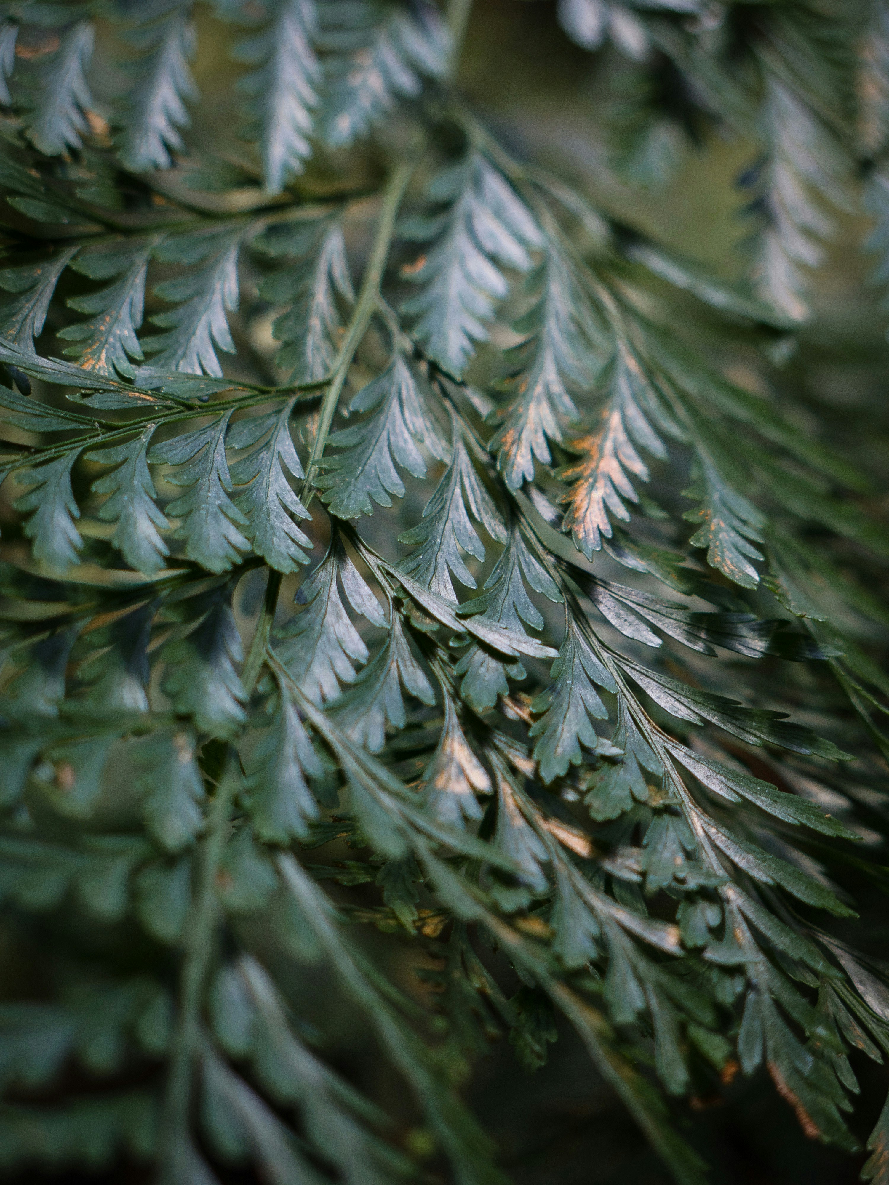 Photo by elizabeth_kay