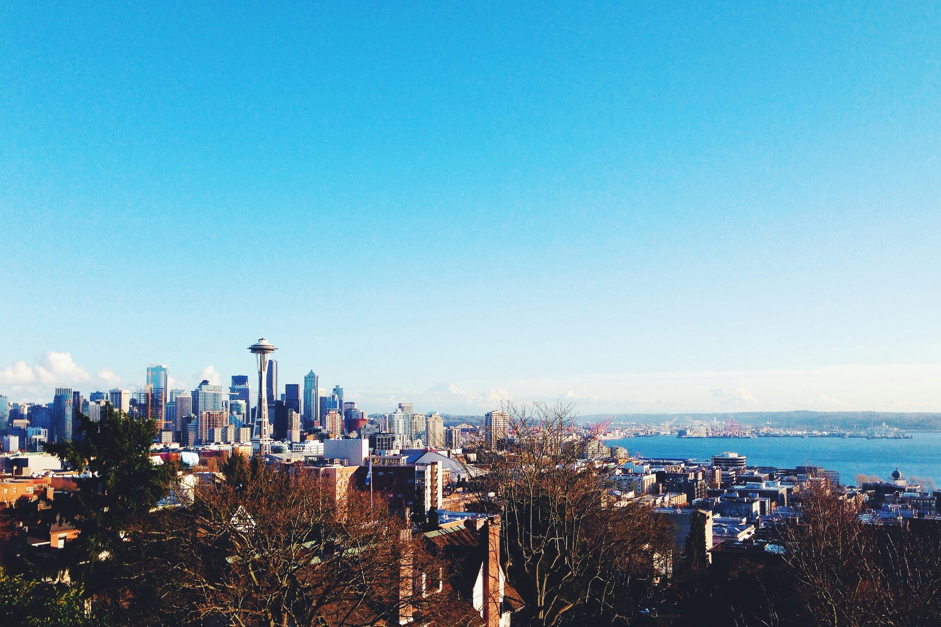 high-angle photography of urban area near beach under clear blue sky