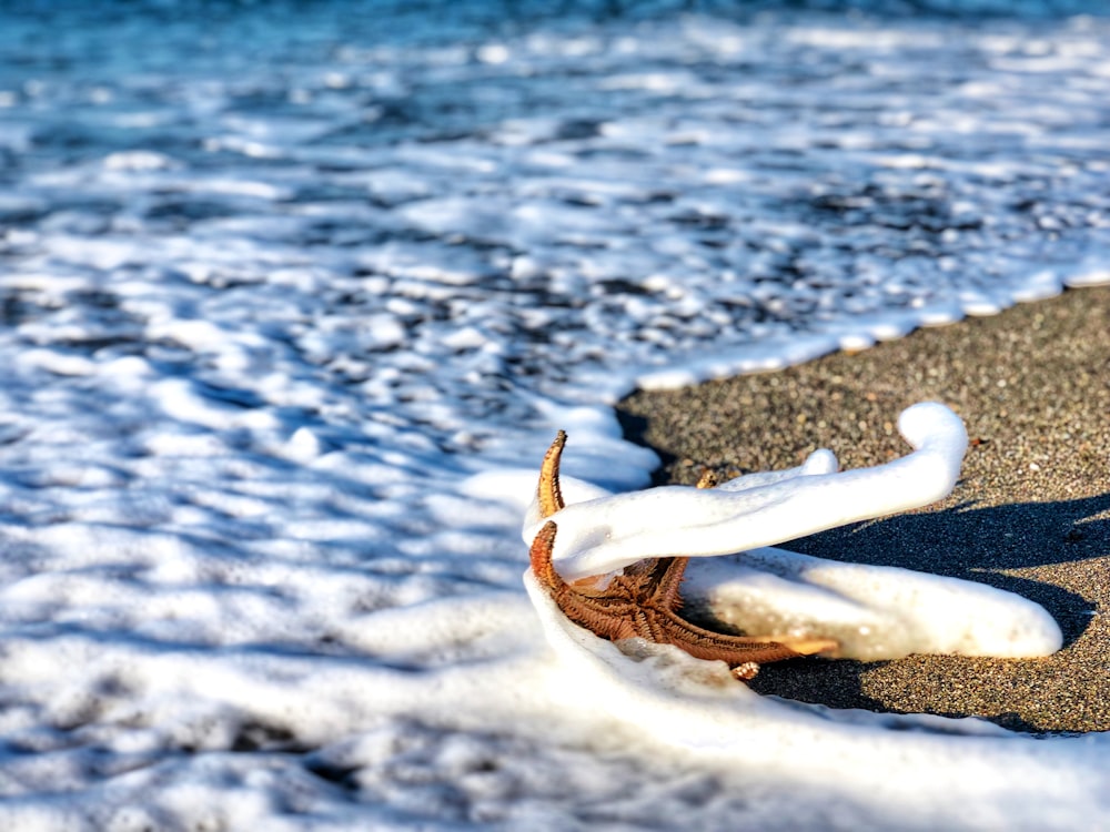 starfish on sand with seawaves during daytime