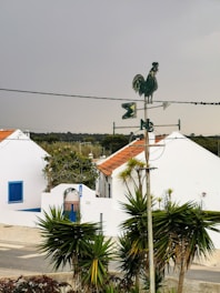 A rural scene featuring a cluster of white buildings with red-tiled roofs and blue shutters. In the foreground, there are several green plants and a metal weather vane with a rooster design atop a pole. The sky is overcast, and power lines run across the scene.