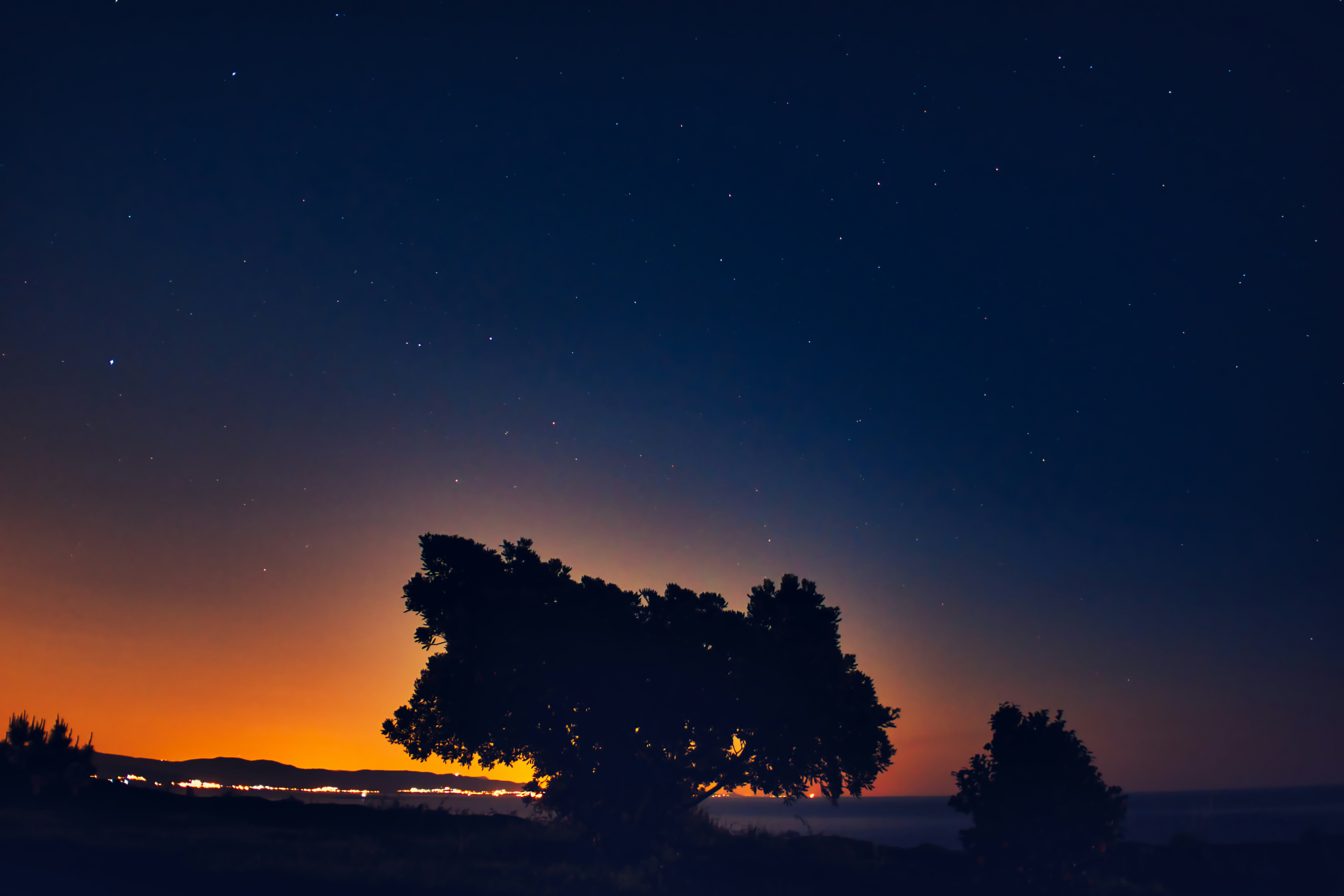 Photo by aperturevintage