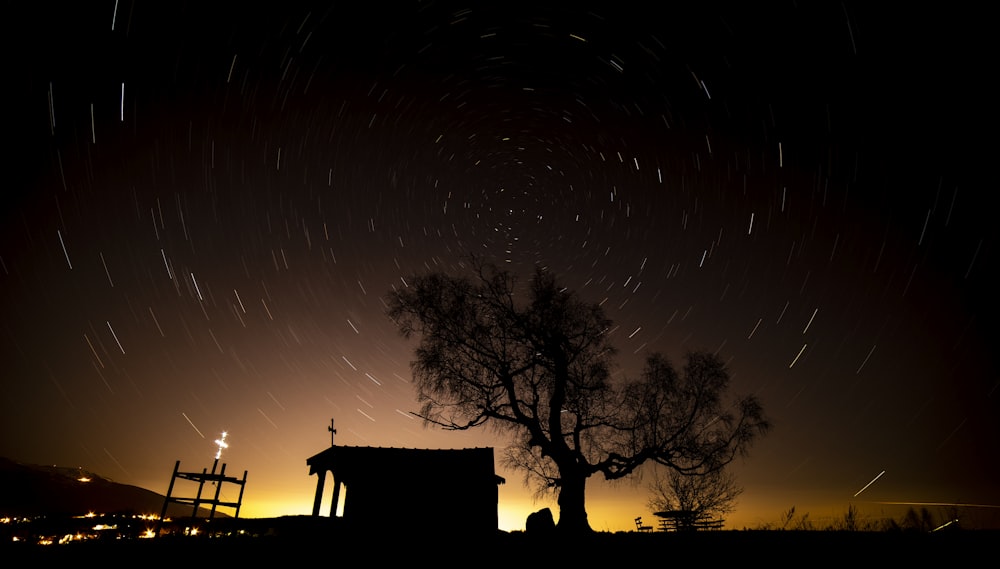 silhouette photography of house beside trees