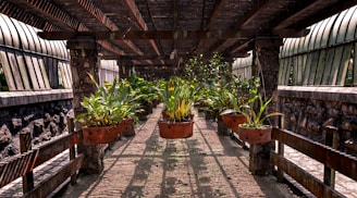 An outdoor walkway is covered by a wooden pergola. Large, rust-colored metal pots are suspended from the beams, each containing vibrant green plants. The sunlight filters through the slatted roof, casting shadows on the stone pathway. On either side, there are stone walls with slightly curved glass panels fixed above.