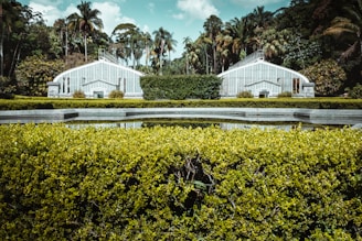 Two symmetrical greenhouses made of glass and metal stand amidst a lush landscape with a variety of trees and plants. In the foreground, a large hedge is trimmed neatly, and a clear pond reflects the sky and surrounding greenery.