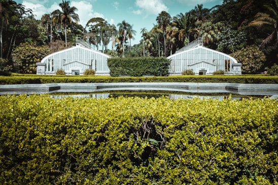 Two symmetrical greenhouses made of glass and metal stand amidst a lush landscape with a variety of trees and plants. In the foreground, a large hedge is trimmed neatly, and a clear pond reflects the sky and surrounding greenery.