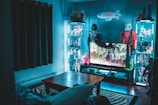 A room filled with collectible action figures and memorabilia, including figures from popular franchises like Star Wars. Illuminated glass display cabinets line the walls, each showcasing various figurines. A television displays a nature scene, sitting atop a stand filled with assorted gaming consoles or entertainment devices. The room has a modern and organized appearance with a cozy ambiance. A zebra-patterned rug lies under a wooden coffee table, adding a touch of style.