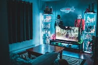A room filled with collectible action figures and memorabilia, including figures from popular franchises like Star Wars. Illuminated glass display cabinets line the walls, each showcasing various figurines. A television displays a nature scene, sitting atop a stand filled with assorted gaming consoles or entertainment devices. The room has a modern and organized appearance with a cozy ambiance. A zebra-patterned rug lies under a wooden coffee table, adding a touch of style.