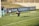 A goalkeeper diving to catch a soccer ball near the goalpost on a grassy field. Another player stands nearby observing the action, with visible advertisements and banners on the fence behind them.