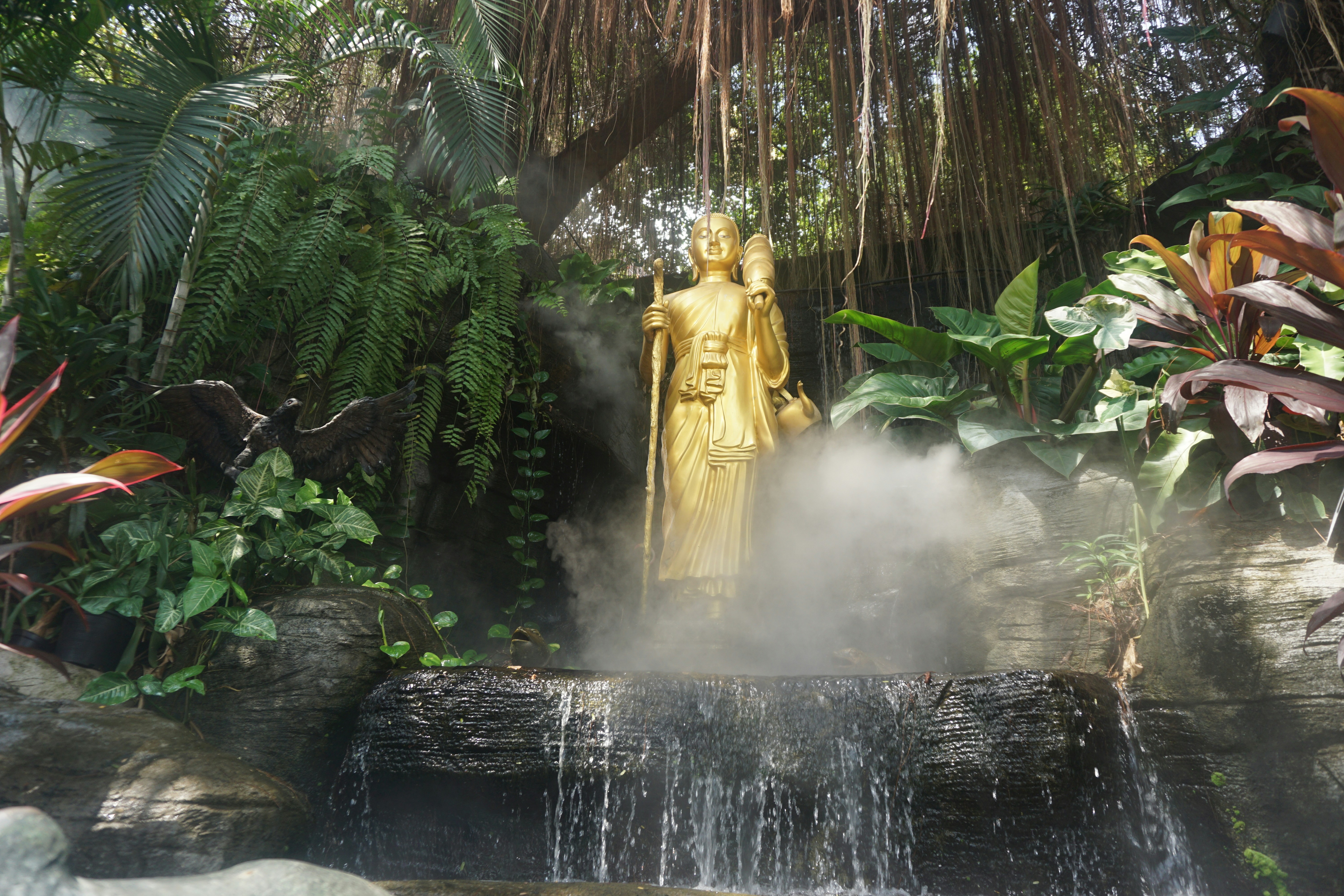 gold buddha beside fern plant