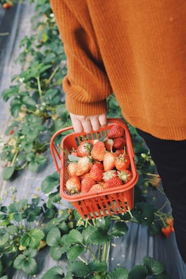 A smiling team member holding a basket filled with fresh, handpicked items ready to ship.