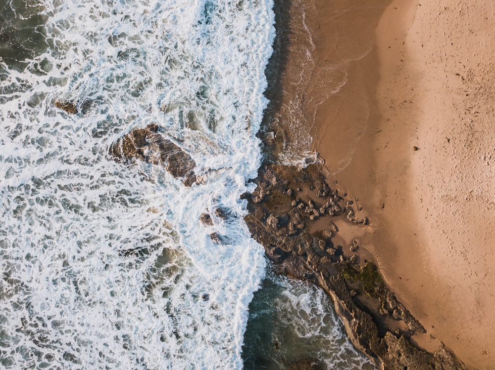 aerial photo of sea