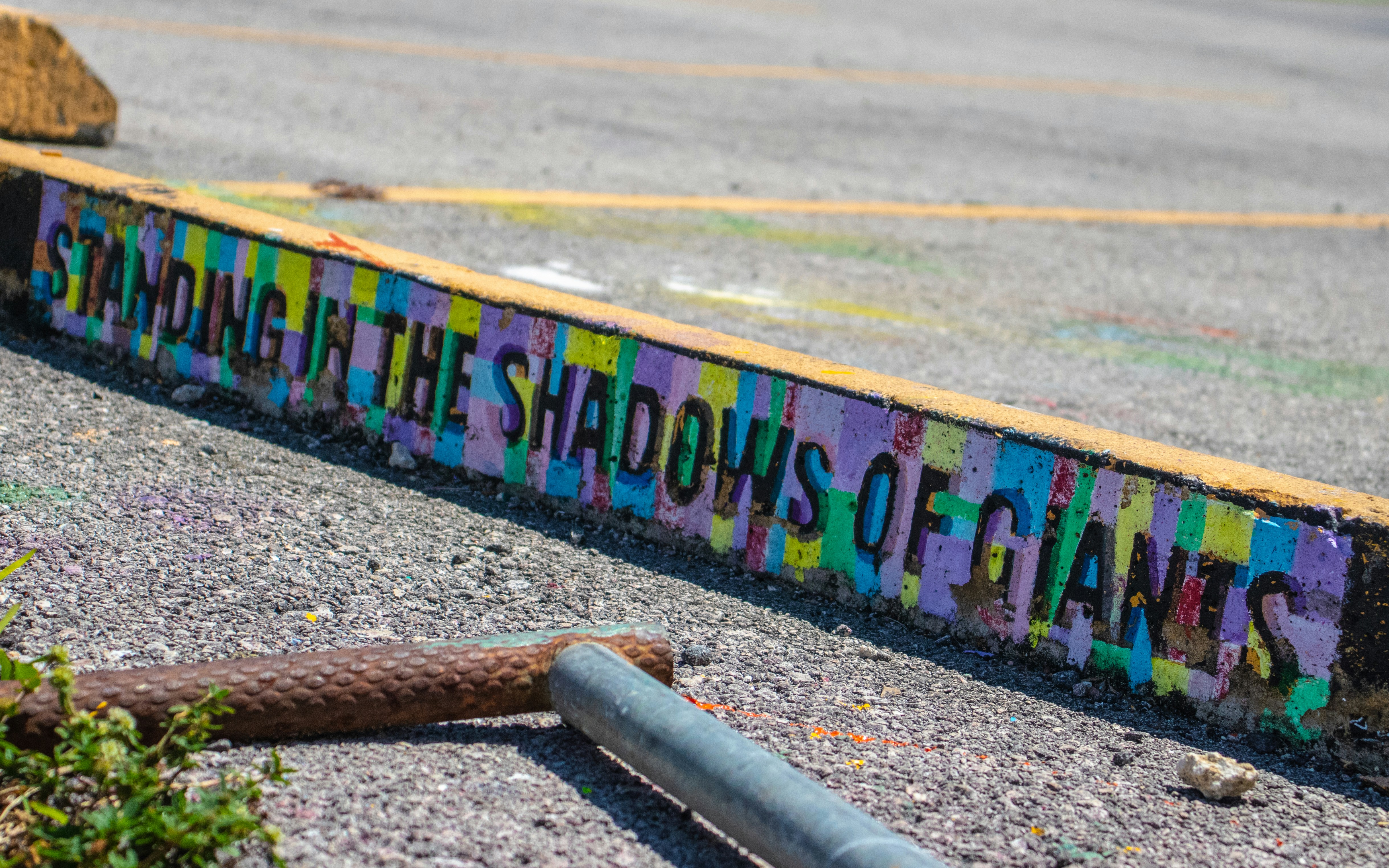 green plant beside brown and gray steel pipes united state teams background