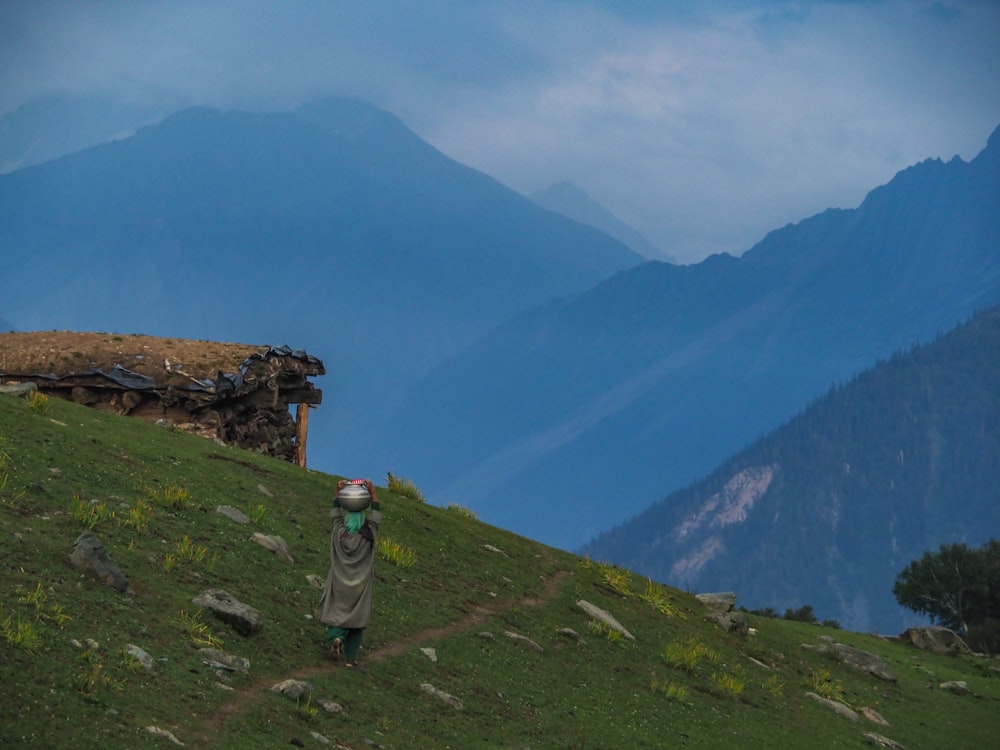 person standing on green mountain