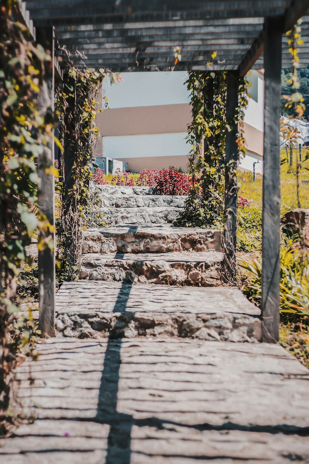 brown stone pathway