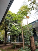 A serene courtyard filled with natural light and greenery.