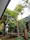 A peaceful courtyard inside Sarangpur trust dharmshala with morning light filtering through trees.