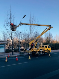 A maintenance truck with an elevated platform is parked on a street. Two workers wearing safety gear are performing work on a tall tree. Orange traffic cones are placed around the truck to manage traffic, and the background shows leafless trees and a clear blue sky.