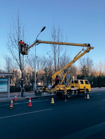 A maintenance truck with an elevated platform is parked on a street. Two workers wearing safety gear are performing work on a tall tree. Orange traffic cones are placed around the truck to manage traffic, and the background shows leafless trees and a clear blue sky.