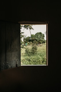 Close-up of a classic wooden window frame with subtle dark accents and a view of a lush garden outside.