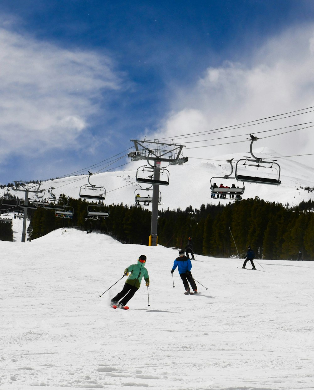 people snowboarding during daytime