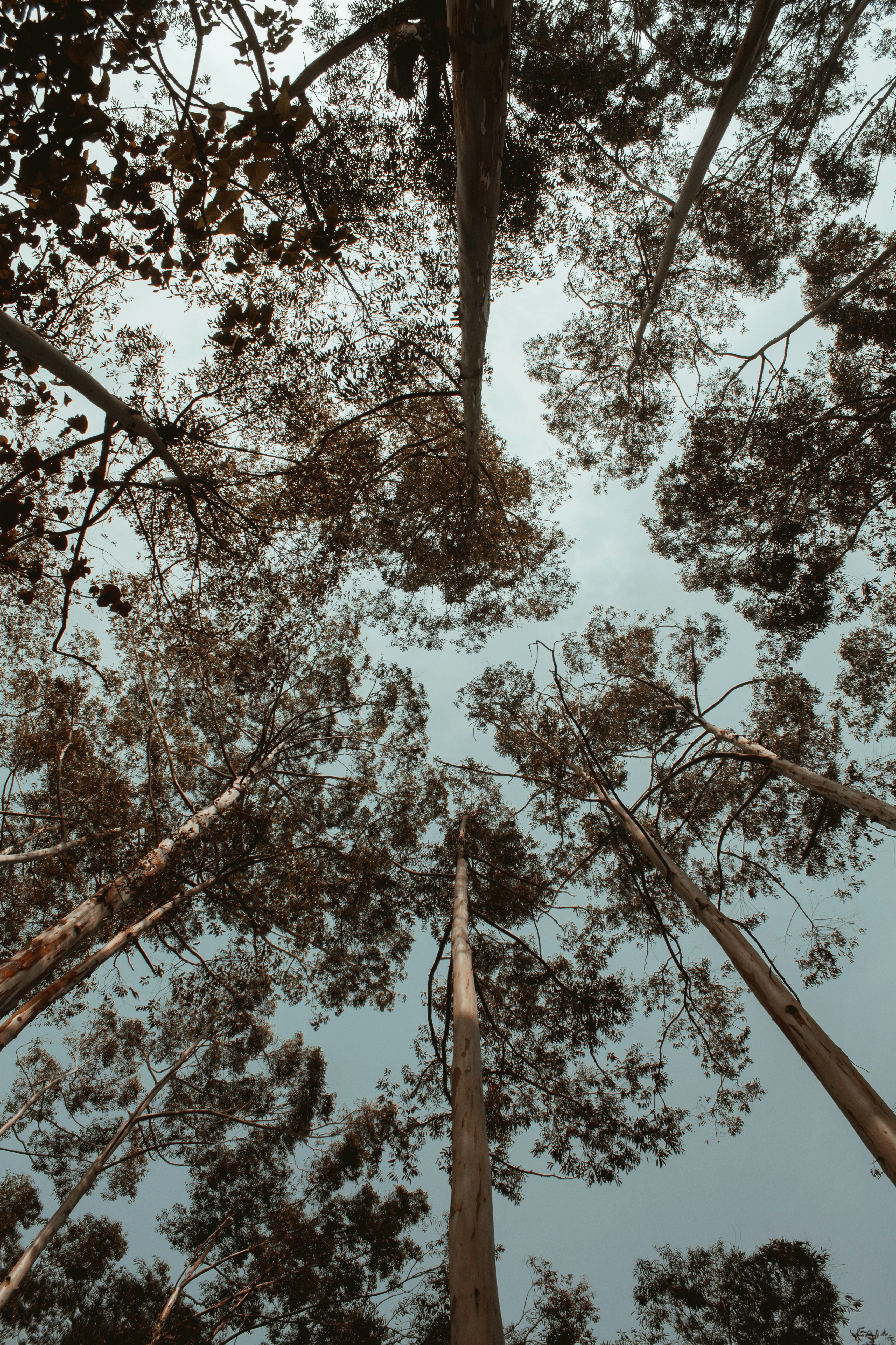 Photo by daineshkumar